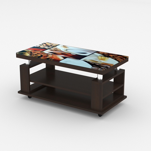 SCT 305 Coffee Table